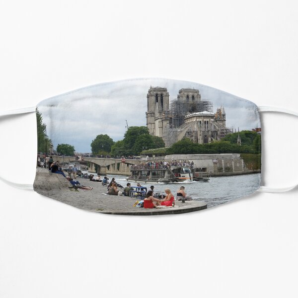 Notre Dame Ruins 1 Mask