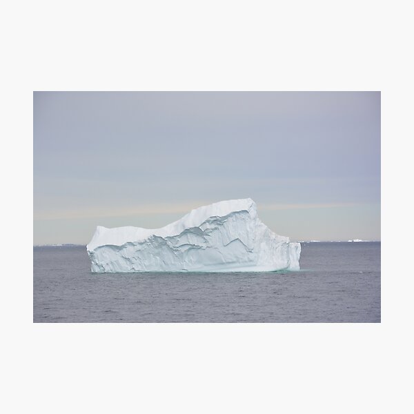 Beautiful Antarctic Penguins Wall Art Redbubble - nekos icy island roblox