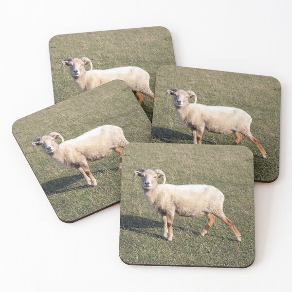 Item preview, Portland Sheep Rare Breed designed and sold by acceleratorhams.