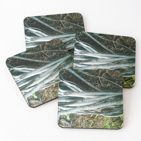 Item preview, Beautiful Tree roots  designed and sold by gloriasd14.
