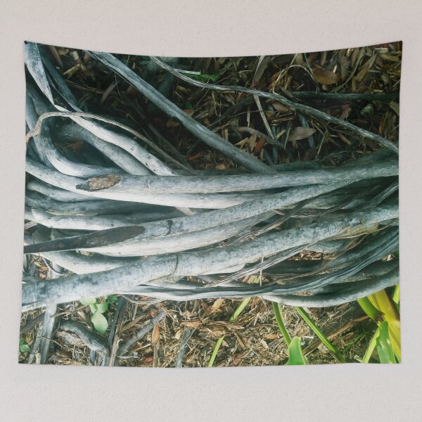 Item preview, Beautiful Tree roots  designed and sold by gloriasd14.