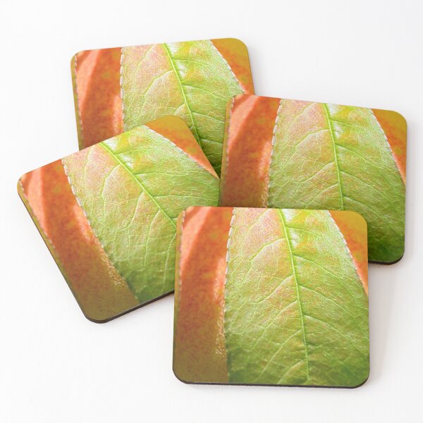Item preview, Peach Vertical designed and sold by LisaWootenPhoto.
