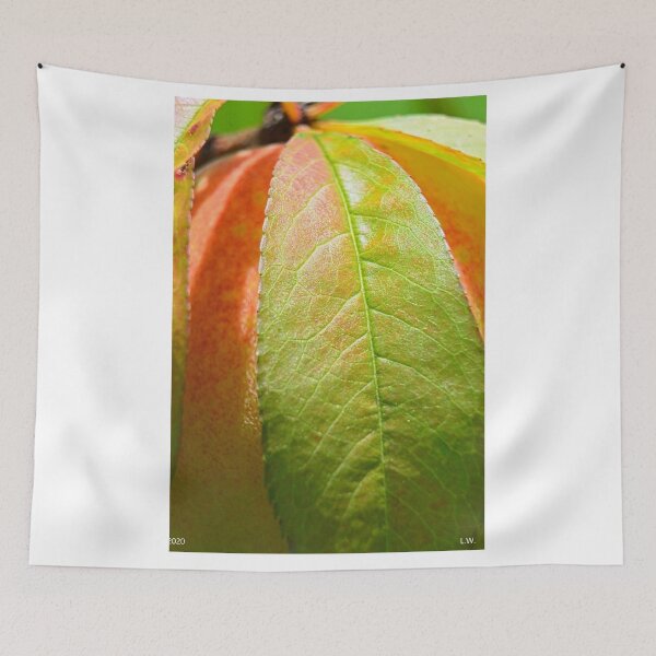 Item preview, Peach Vertical designed and sold by LisaWootenPhoto.