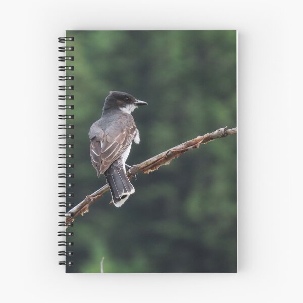 Item preview, Eastern Kingbird  designed and sold by DigitalGen.