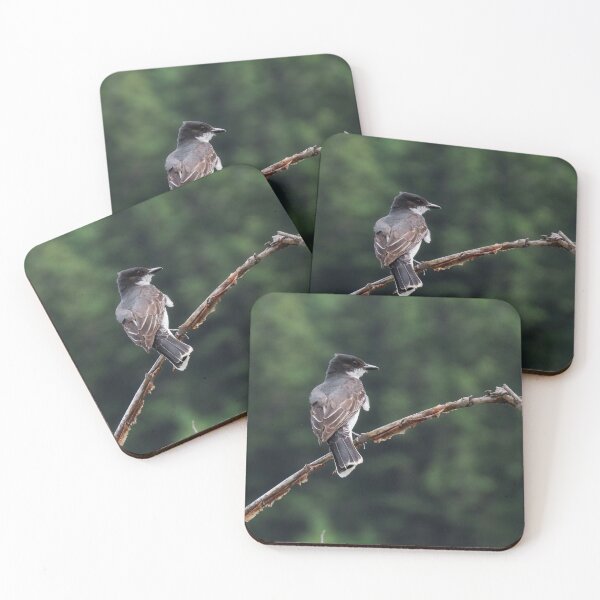 Item preview, Eastern Kingbird  designed and sold by DigitalGen.