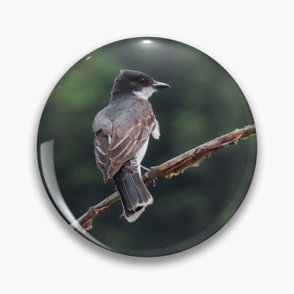 Item preview, Eastern Kingbird  designed and sold by DigitalGen.