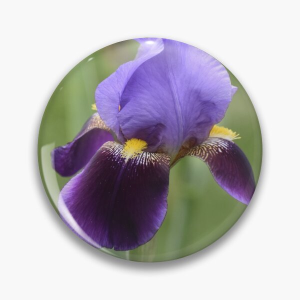Item preview, Iris Birthday Card designed and sold by Kathleen Brant.