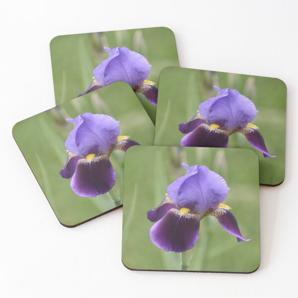 Item preview, Iris Birthday Card designed and sold by Kathleen Brant.