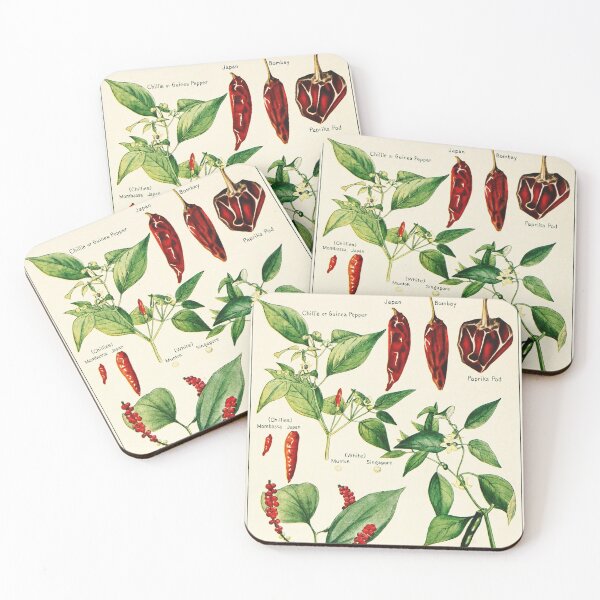 Artikelvorschau, Capsicum Chilischoten - Vintage botanische Illustration entworfen und verkauft von DejaVuStudio.