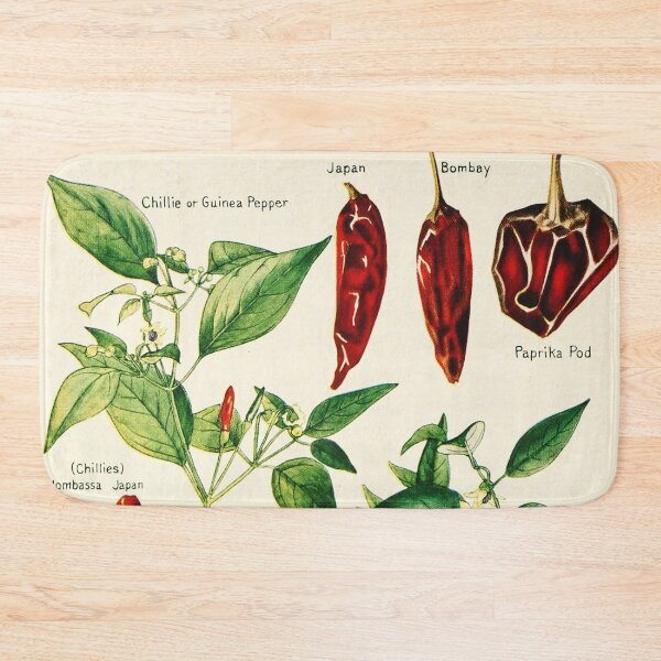 Artikelvorschau, Capsicum Chilischoten - Vintage botanische Illustration entworfen und verkauft von DejaVuStudio.