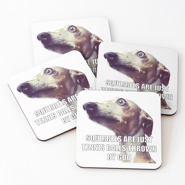 Item preview, Squirrels Are just Tennis Balls Thrown By God designed and sold by DoodleDashCollective.