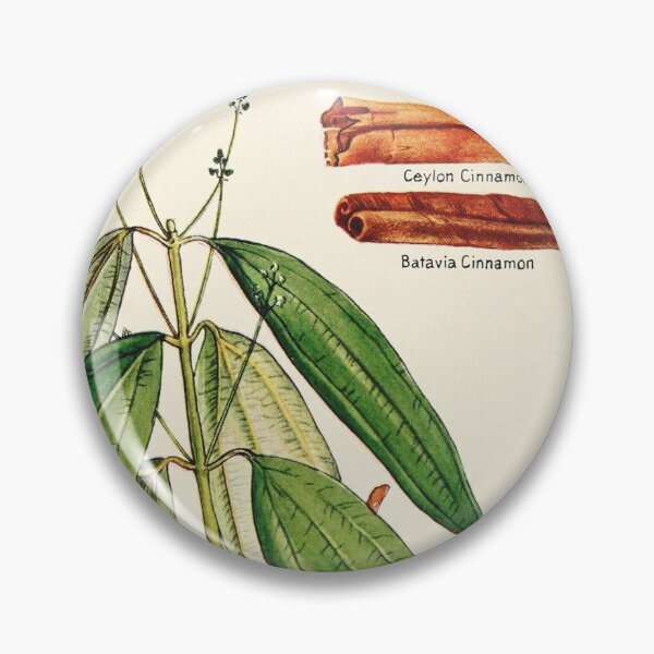 Item preview, Cinnamon cassia - Vintage botanical illustration designed and sold by DejaVuStudio.