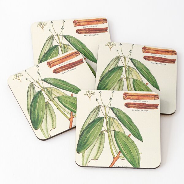 Item preview, Cinnamon cassia - Vintage botanical illustration designed and sold by DejaVuStudio.