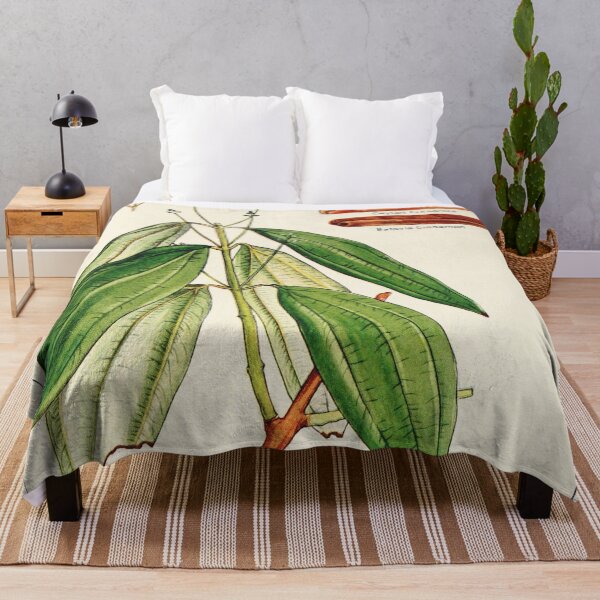 Item preview, Cinnamon cassia - Vintage botanical illustration designed and sold by DejaVuStudio.