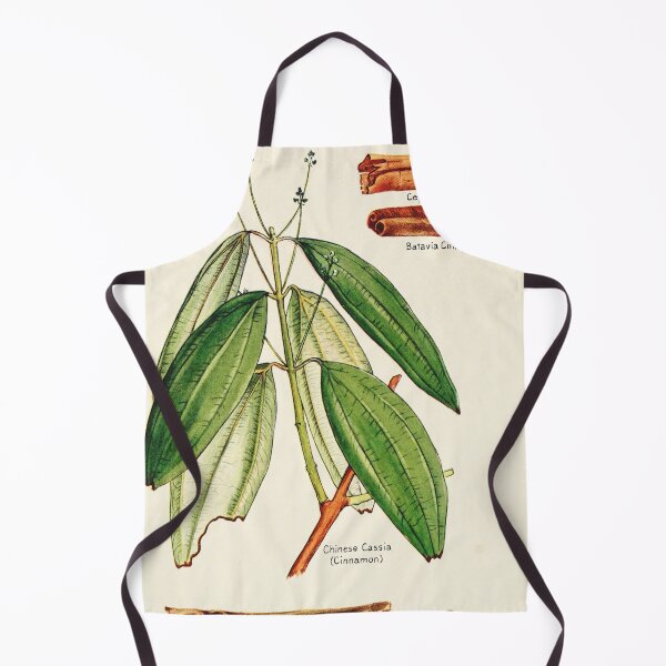 Item preview, Cinnamon cassia - Vintage botanical illustration designed and sold by DejaVuStudio.