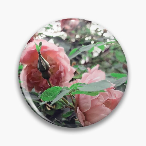 Item preview, Pink roses designed and sold by vieno.