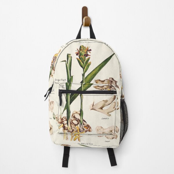 Item preview, Ginger plant flower root - Vintage botanical illustration designed and sold by DejaVuStudio.