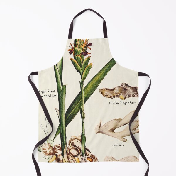 Item preview, Ginger plant flower root - Vintage botanical illustration designed and sold by DejaVuStudio.