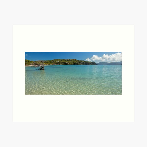 Cats eye Bay Hamilton Island Art Print