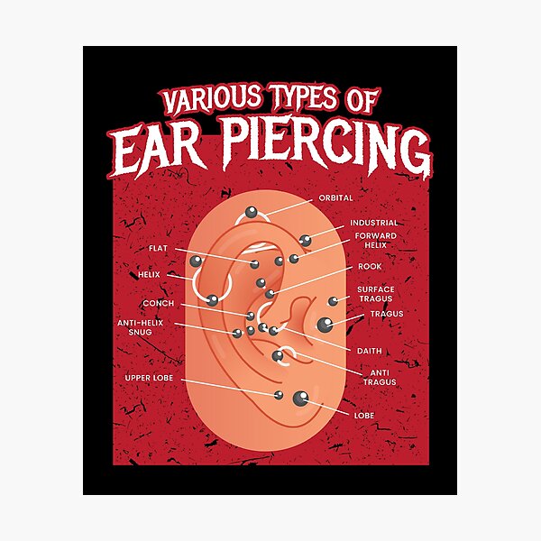 Various Types Of Ear Piercing Earring Photographic Print