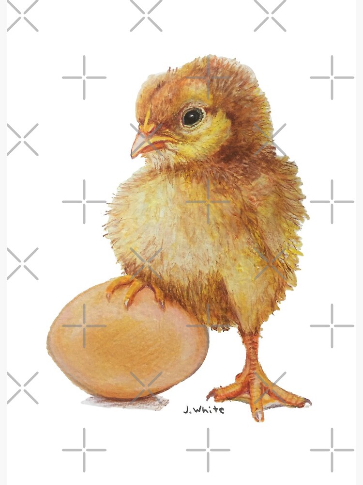 Chick Drawing by Jasper Kooper | Saatchi Art