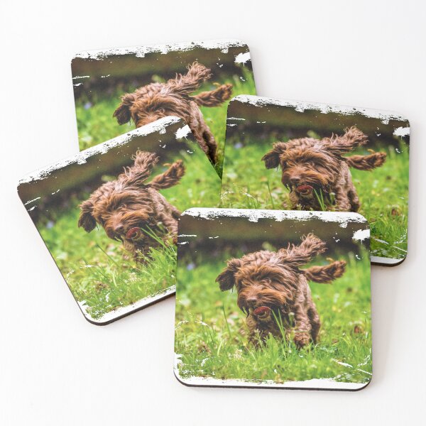 Item preview, Chocolate cockapoo photo designed and sold by bdws.