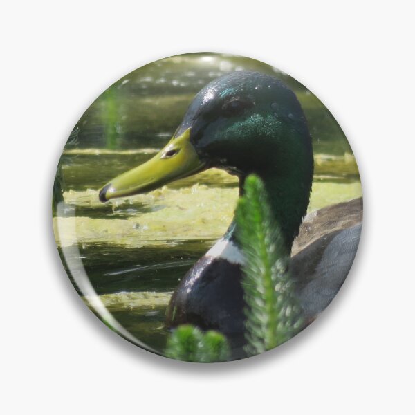 Item preview, Mallard (Anas platyrhynchos) designed and sold by GrandadIAOM.