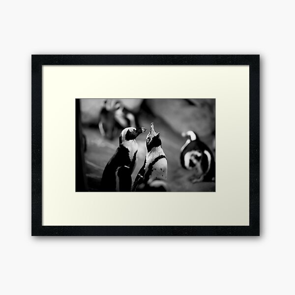 Feed Me (Monochrome) Framed Art Print