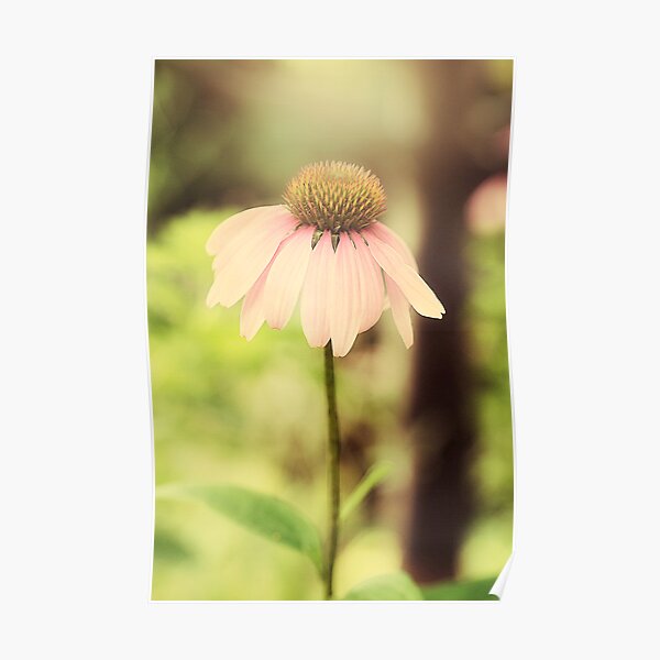 pretty in pink Poster
