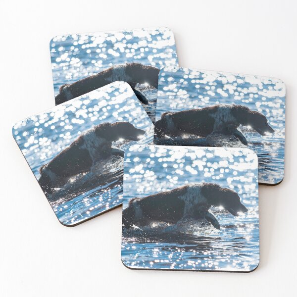 Item preview, English springer spaniel in water designed and sold by bdws.