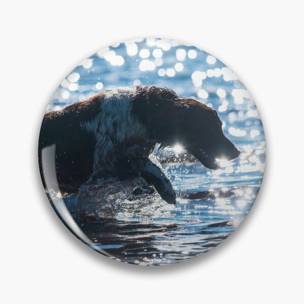Item preview, English springer spaniel in water designed and sold by bdws.