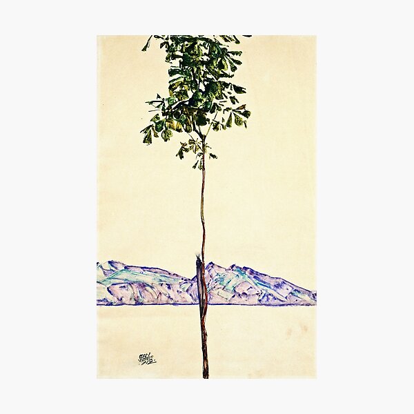 Egon Schiele -Little Tree Photographic Print