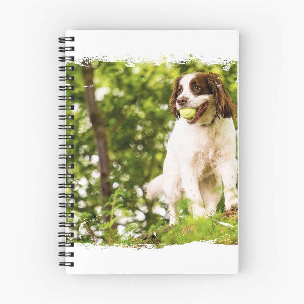 Item preview, Retrato de Springer Spaniel designed and sold by bdws.