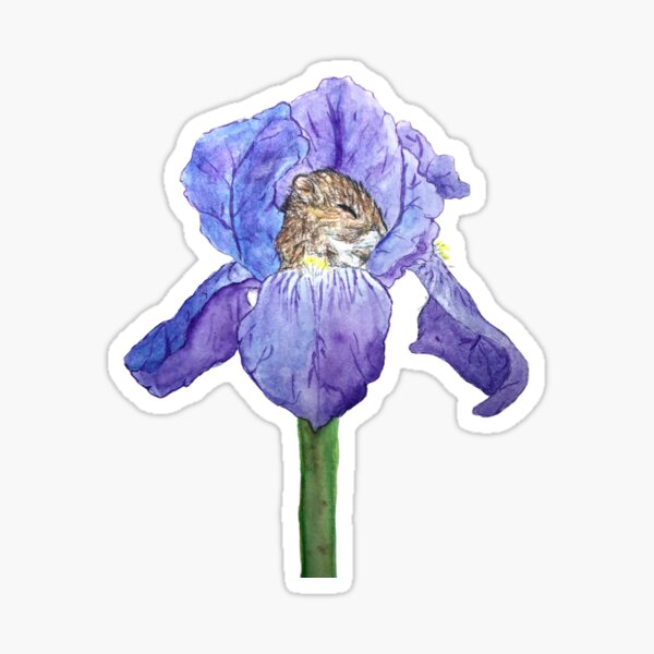 Iris mouse Sticker