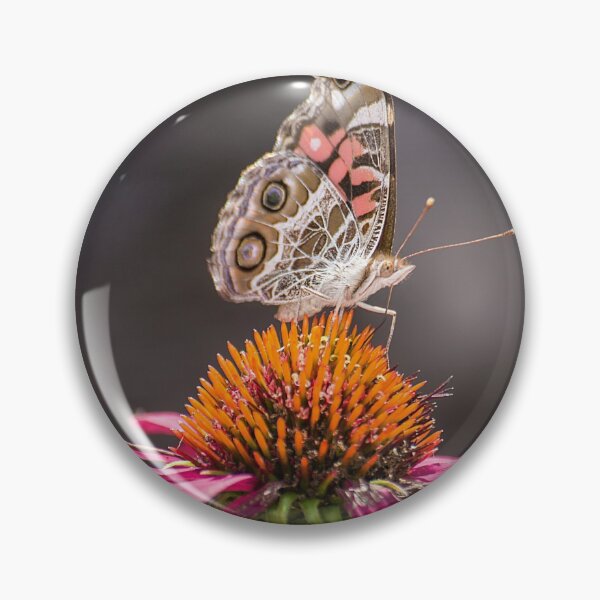 Item preview, Painted Lady Butterfly on Echinacea designed and sold by Shelly Gunderson.