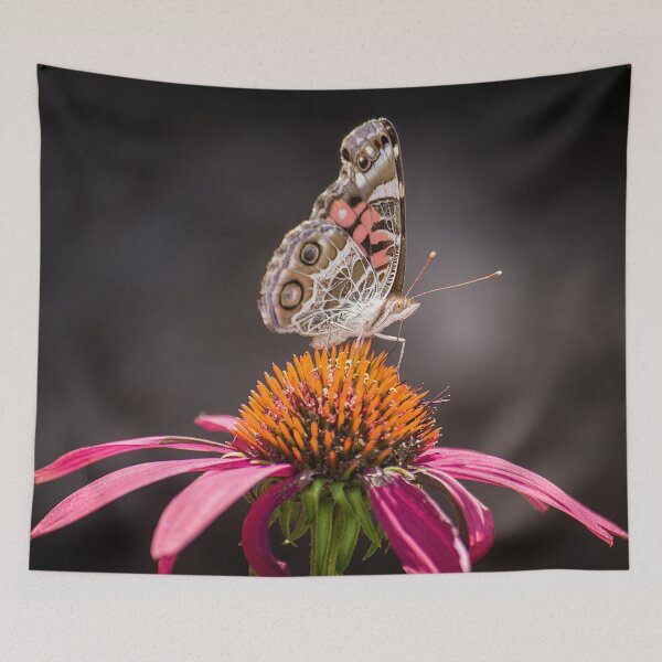 Item preview, Painted Lady Butterfly on Echinacea designed and sold by Shelly Gunderson.