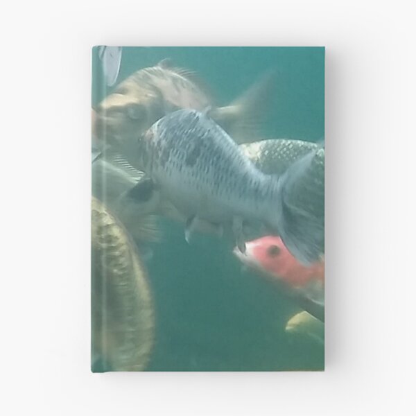 Item preview, Fish designed and sold by GrandadIAOM.