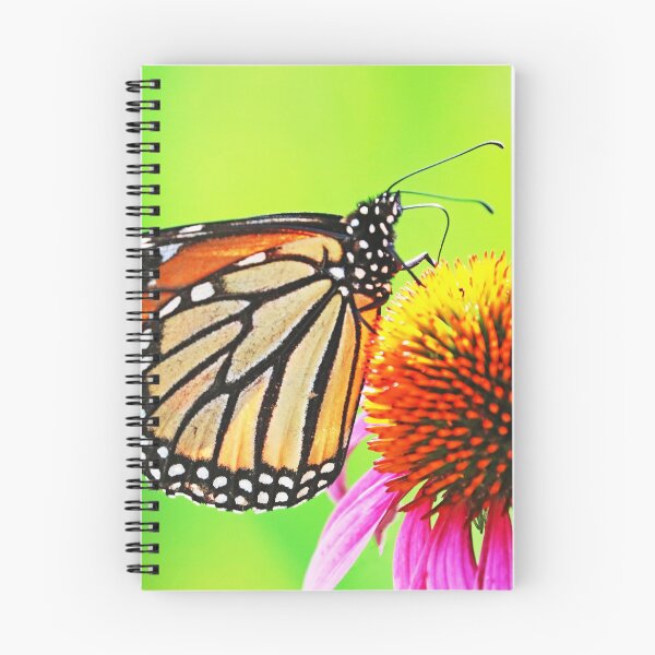 Item preview, The Beauty Of The Monarch Butterfly designed and sold by Deb Oppermann.
