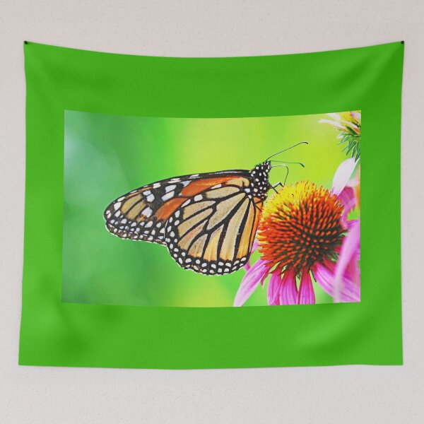 Item preview, The Beauty Of The Monarch Butterfly designed and sold by Deb Oppermann.