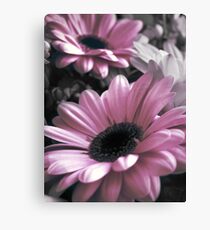 Gerberas Canvas Print