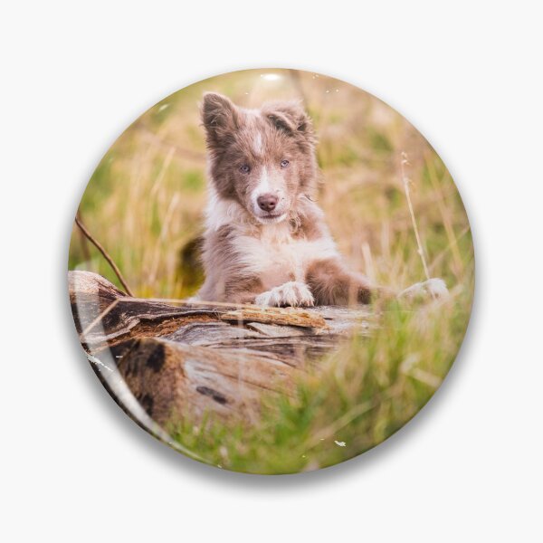 Item preview, Foto de retrato de cachorro de Border Collie lila designed and sold by bdws.