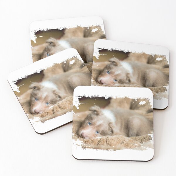 Item preview, Cute Lilac Border Collie Pup with blue eyes designed and sold by bdws.