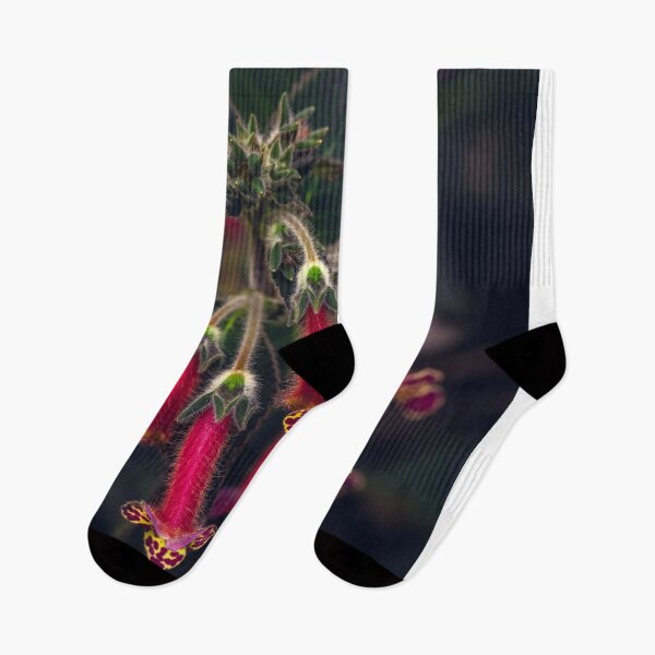 Item preview, Kohleria hysteria designed and sold by alan shapiro.