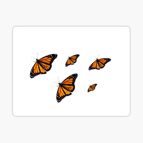 Monarch Butterfly Sticker Pack Sticker For Sale By Clairemthomas Redbubble 