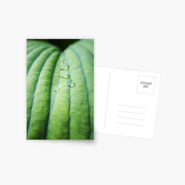 Spheres Postcard
