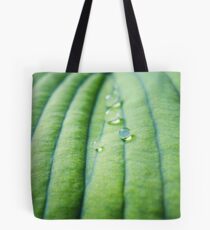 Spheres Tote Bag