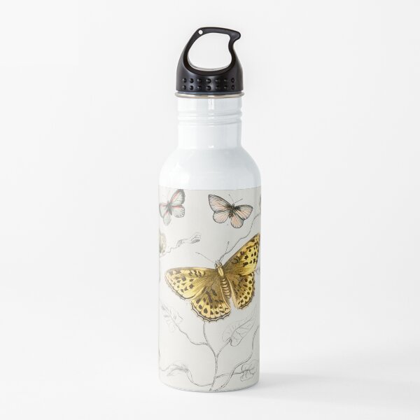 Vintage Butterflies | Various Butterflies | Vintage Butterfly Illustration | Water Bottle
