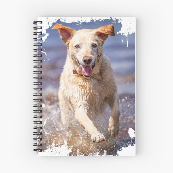 Item preview, Yellow Labrador Retriever Portrait photo designed and sold by bdws.