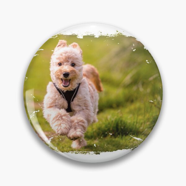 Item preview, Yellow Cockapoo puppy designed and sold by bdws.