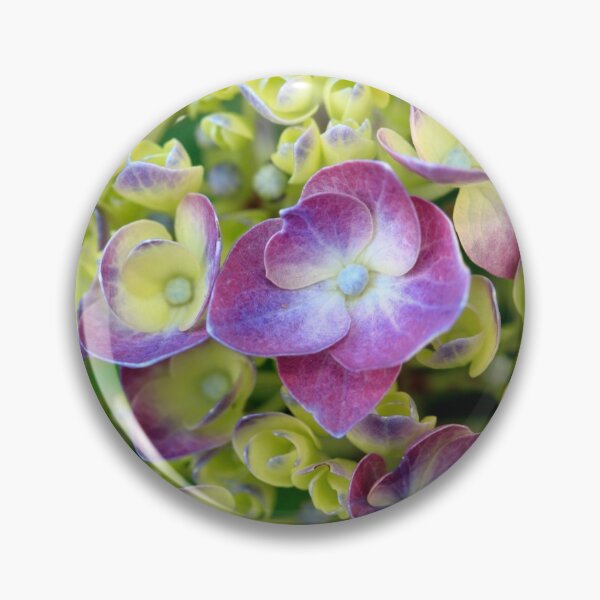 Item preview, Hydrangea designed and sold by Gaspar Avila.